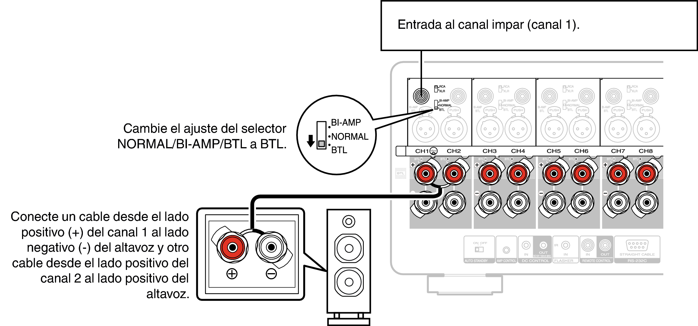 Conne SP BLT AMP10